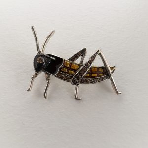 брошка скакалец